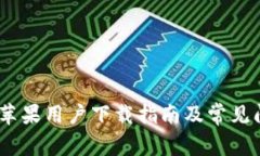 TP钱包:苹果用户下载指南及常见问题解答