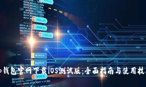 tp钱包官网下载iOS测试版:全面指南与使用技巧