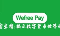 比特币钱包富豪榜:揭示数字货币世界的巨头与
