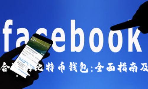 如何选择合适的比特币钱包:全面指南及注意事项