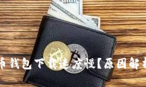 为什么比特币钱包下载速度慢?原因解析与解决方案