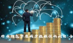解决比特币钱包下载同步数据慢的问题:全面指