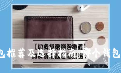 比特币钱包推荐及选择指南:哪个钱包最适合你?