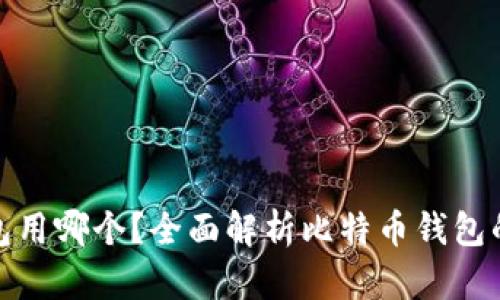 存放比特币钱包用哪个?全面解析比特币钱包的选择与安全性