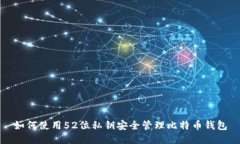 如何使用52位私钥安全管理比特币钱包