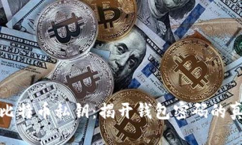 : 比特币私钥:揭开钱包密码的真相