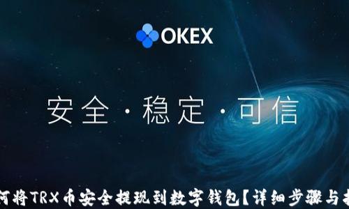 如何将TRX币安全提现到数字钱包?详细步骤与指南