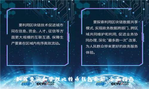 如何查询和管理比特币钱包余额:全面指南