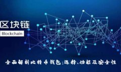 全面解析比特币钱包:选择、功能及安全性