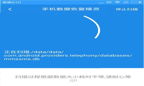 以太坊钱包在OEC网络中的应用与发展