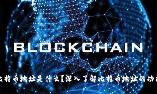 钱包里的比特币地址是什么?深入了解比特币地址的功能与安全性