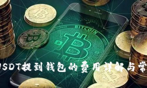优质 USDT提到钱包的费用详解与常见疑问