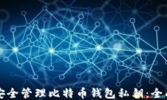 如何安全管理比特币钱包私钥:全面指南