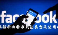 全面解析比特币钱包类型及使用指南