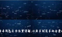 比特币钱包文件位置详解:从新手到高手的全景