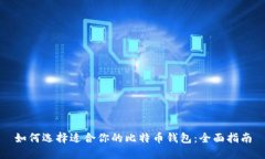 如何选择适合你的比特币钱包:全面指南