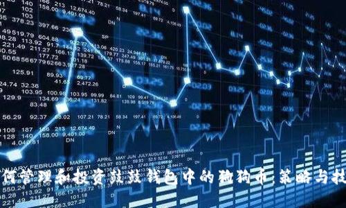 如何管理和投资鼓鼓钱包中的狗狗币:策略与技巧