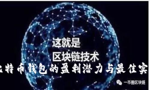 比特币钱包的盈利潜力与最佳实践