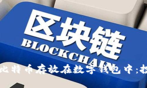 如何安全地将比特币存放在数字钱包中:投资者必知指南