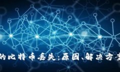 麦子钱包中的比特币丢失:原因、解决方案及预