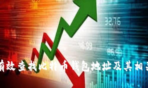 如何有效查找比特币钱包地址及其相关信息