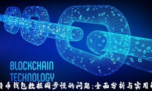 解决比特币钱包数据同步慢的问题:全面分析与实用解决方案