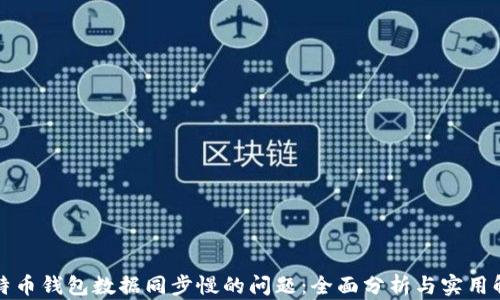 解决比特币钱包数据同步慢的问题:全面分析与实用解决方案