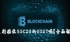 BK钱包支持接收BSC20的USDT吗?全面解析与指导
