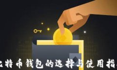 比特币钱包的选择与使用指南