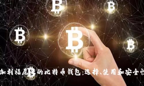 美国加利福尼亚的比特币钱包:选择、使用和安全性分析