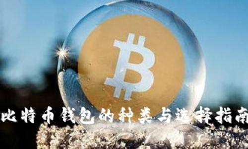 比特币钱包的种类与选择指南