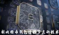深度解析比特币钱包连接节点的技术与实践