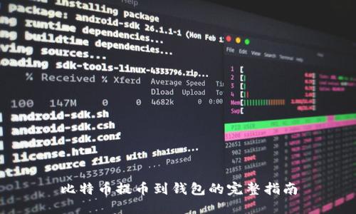 比特币提币到钱包的完整指南