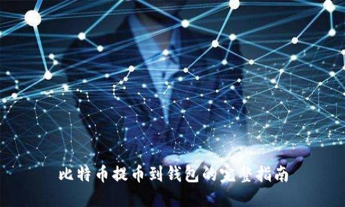 比特币提币到钱包的完整指南