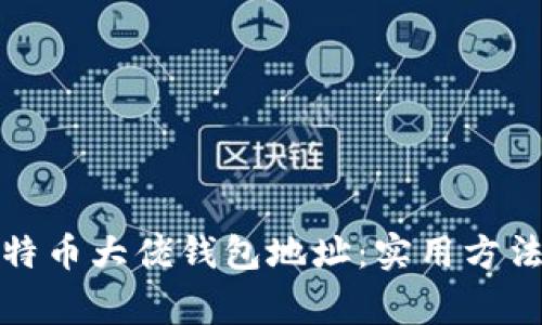 如何查询比特币大佬钱包地址:实用方法及注意事项