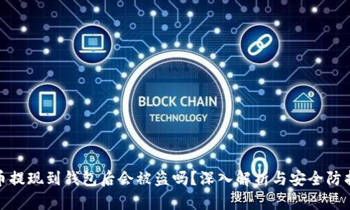比特币提现到钱包后会被盗吗?深入解析与安全防护措施