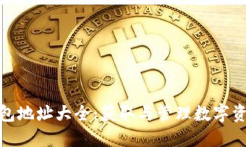 : 以太坊链钱包地址大全:获取与管理数字资产的全面指南