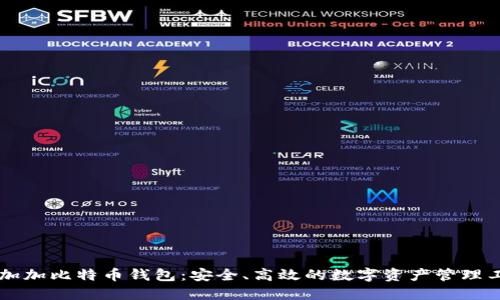 币加加比特币钱包:安全、高效的数字资产管理工具