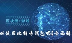 jiaoti国内可以使用比特币钱包吗?全面解析与使