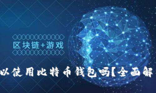 jiaoti国内可以使用比特币钱包吗?全面解析与使用指南