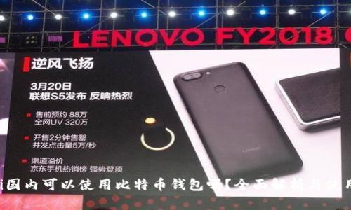 jiaoti国内可以使用比特币钱包吗?全面解析与使用指南
