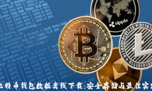 比特币钱包数据离线下载:安全存储与最佳实践