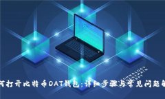 如何打开比特币DAT钱包:详细步骤与常见问题解