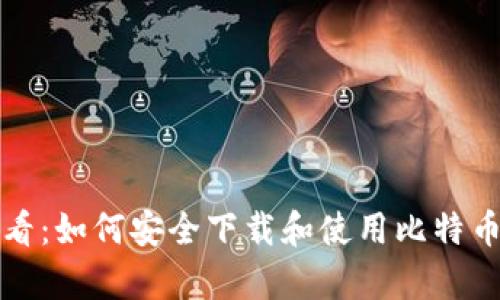 安卓用户必看:如何安全下载和使用比特币钱包客户端