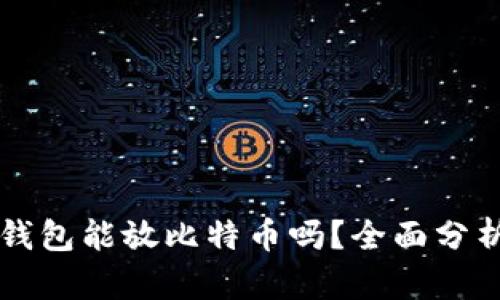以太坊钱包能放比特币吗?全面分析与解答