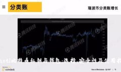 ibaoti比特币私钥与钱包:选择、安全性及使用指