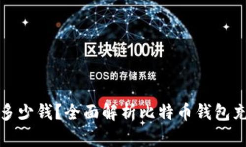 比特币钱包能充多少钱?全面解析比特币钱包充值和使用的策略
